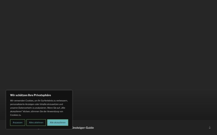 Screenshot of great-v.de