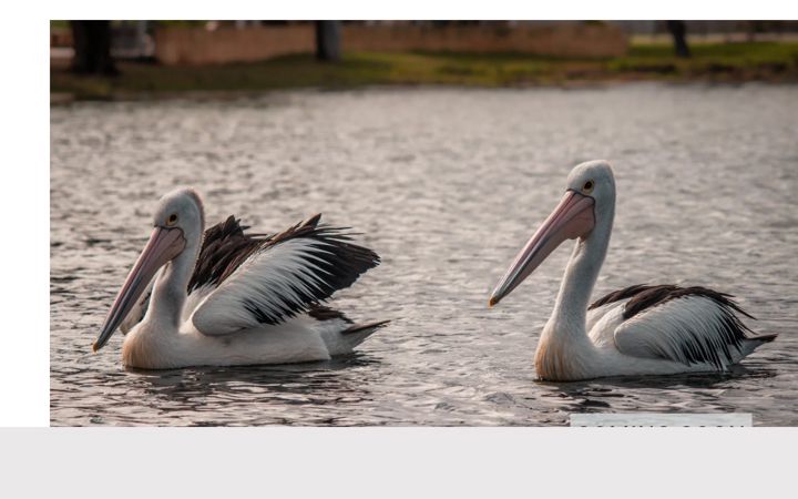 Screenshot of greatermandurah.club