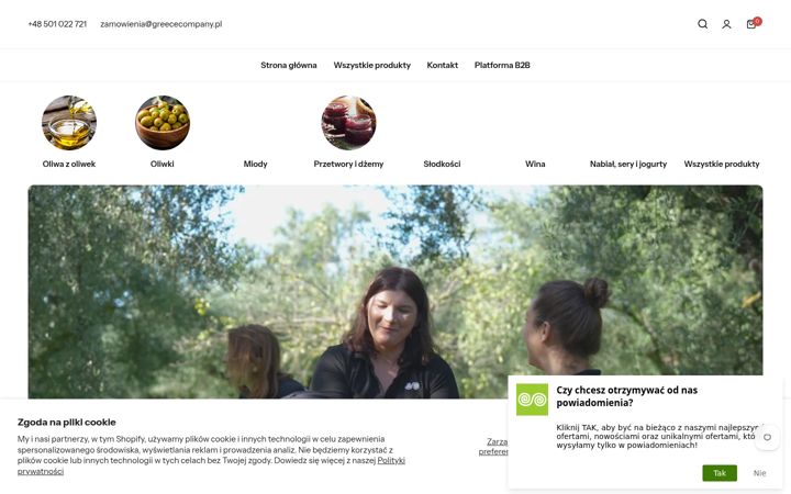 Screenshot of greckieprzysmaki.pl