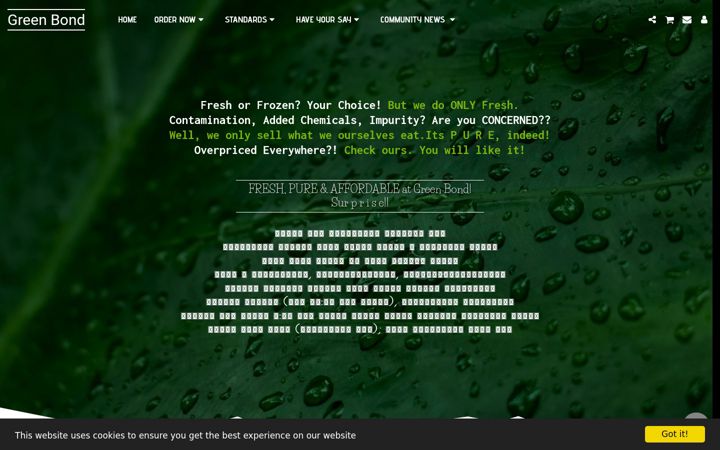 Screenshot of greenbondbd.com