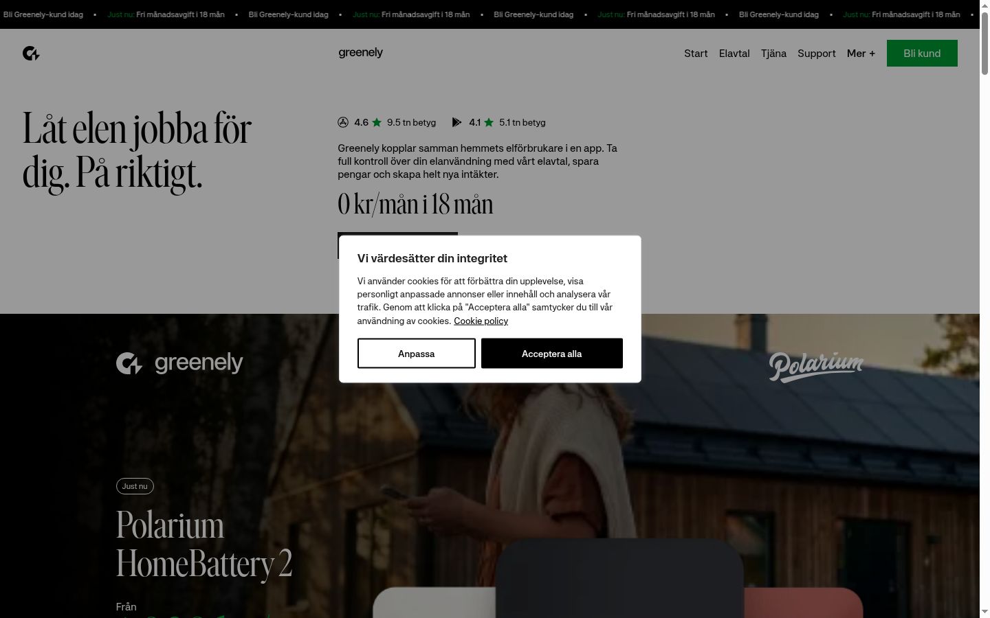 Skærmbillede af samtykkebanneret, som det blev vist før nogen interaktion