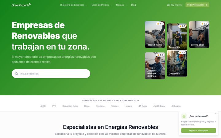 Screenshot of greenexperts.es