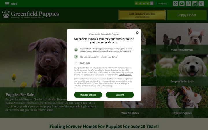 Screenshot of greenfieldpuppies.com