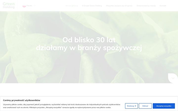 Screenshot of greenholding.pl
