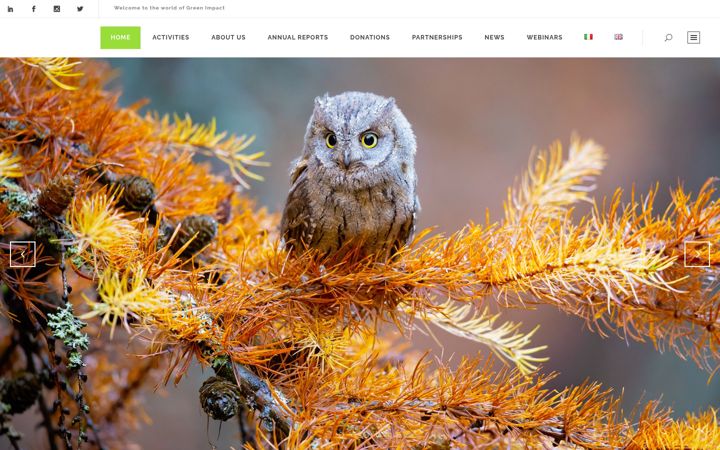 Screenshot of greenimpact.it