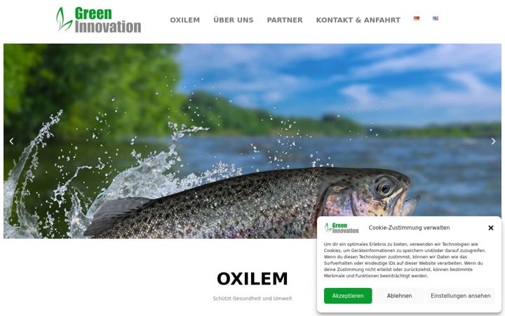 Screenshot of greeninnovation.at