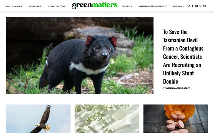 Screenshot of greenmatters.com