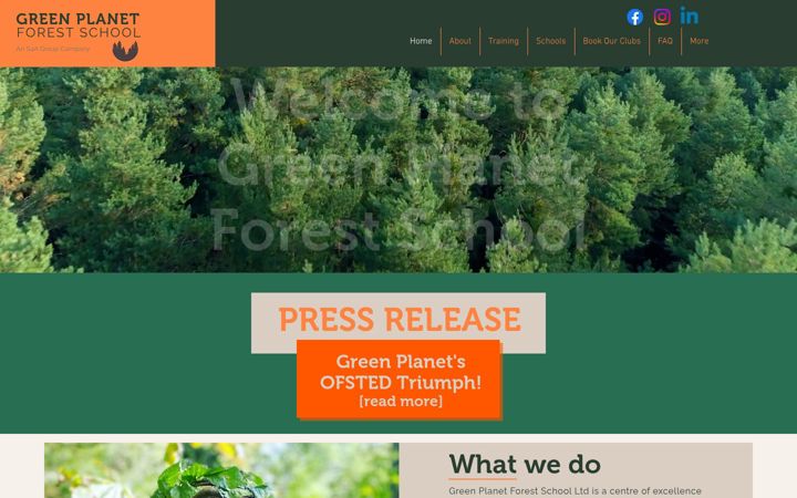 Screenshot of greenplanetforestschool.co.uk
