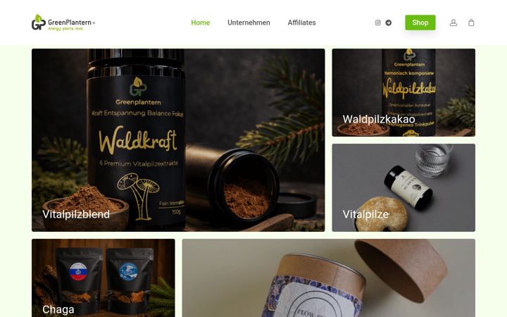 Screenshot of greenplantern.de
