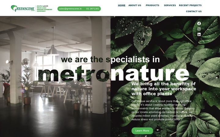 Screenshot of greenscene.ie