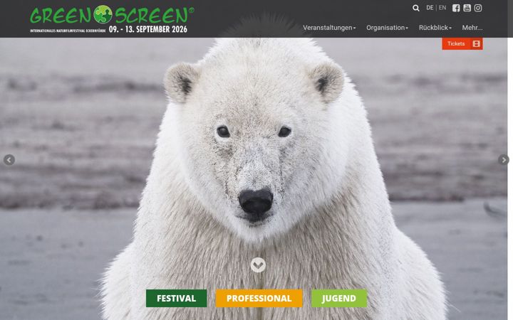Screenshot of greenscreen-festival.de