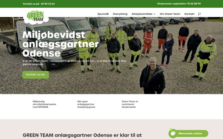 Zrzut ekranu greenteam.dk