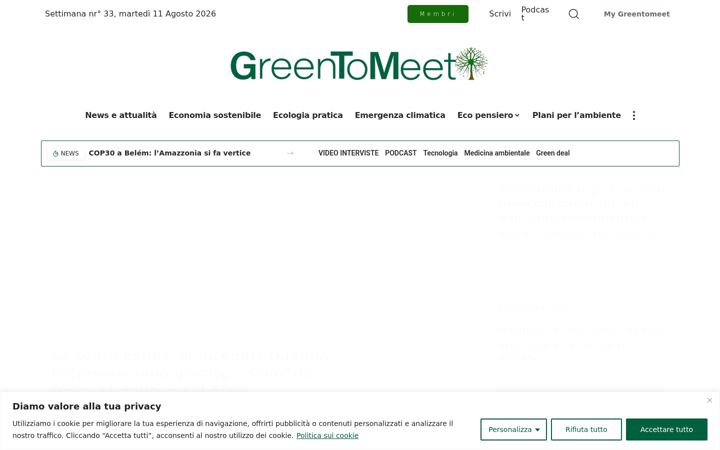 Screenshot of greentomeet.com