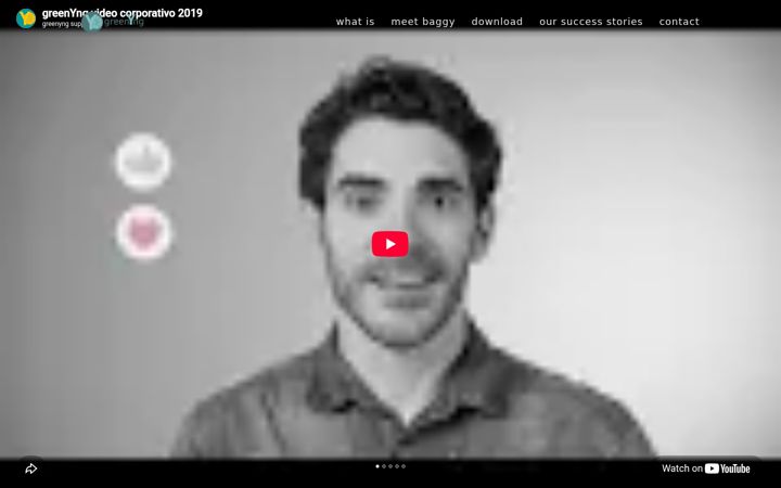 Screenshot of greenyng.com