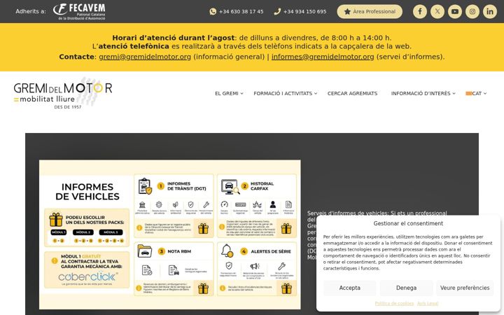 Screenshot of gremidelmotor.com