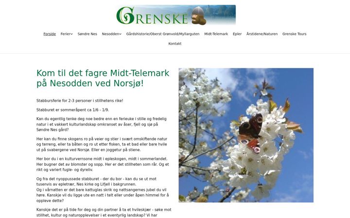 Screenshot of grenske.no