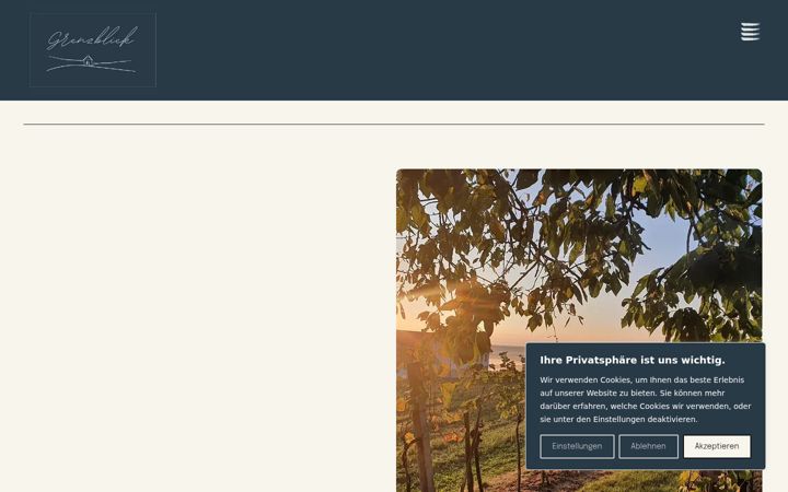 Screenshot of grenzblick.at