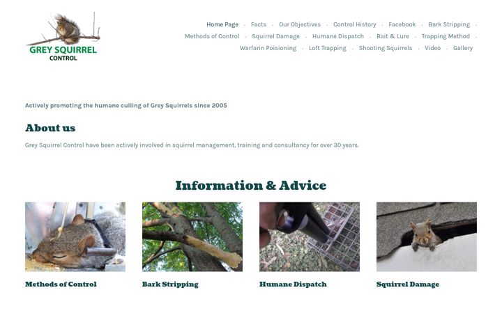 Screenshot of greysquirrelcontrol.co.uk