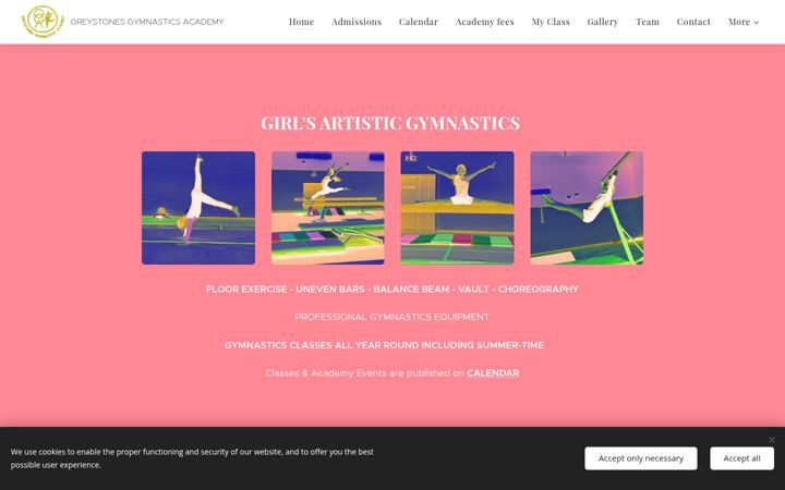 Screenshot of greystonesgymnasticsacademy.ie
