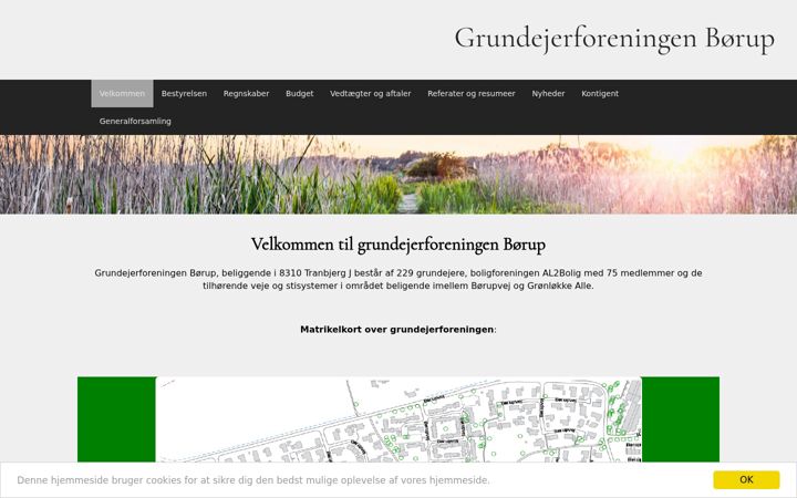 Screenshot of grf-boerup.dk