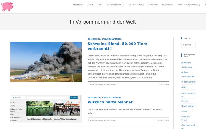 Screenshot of gribowski.de