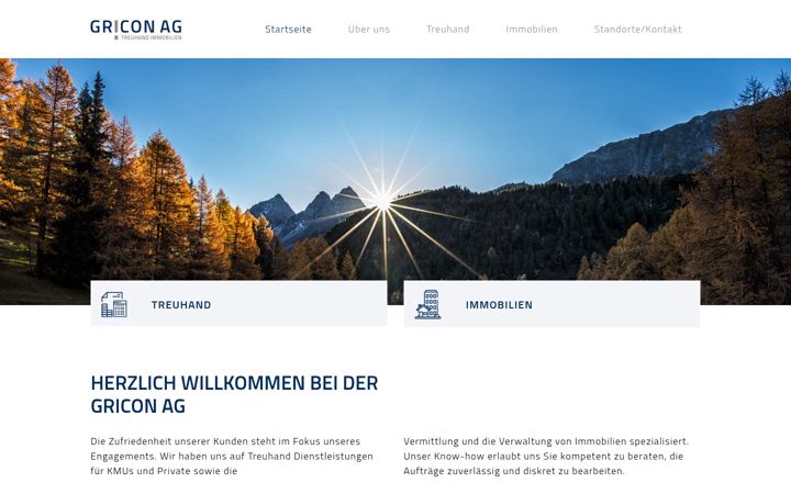 Screenshot of gricon.ch