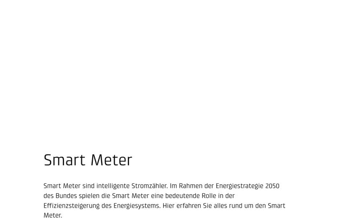 Screenshot of gridfox.ch