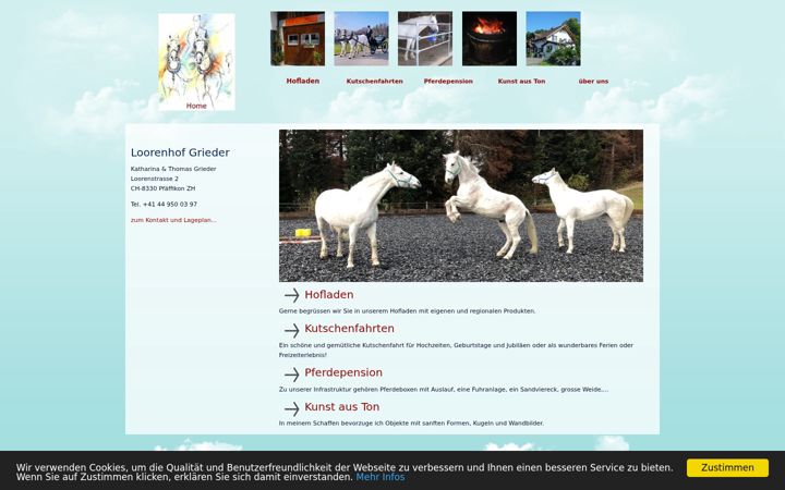 Screenshot of grieder-looren.ch