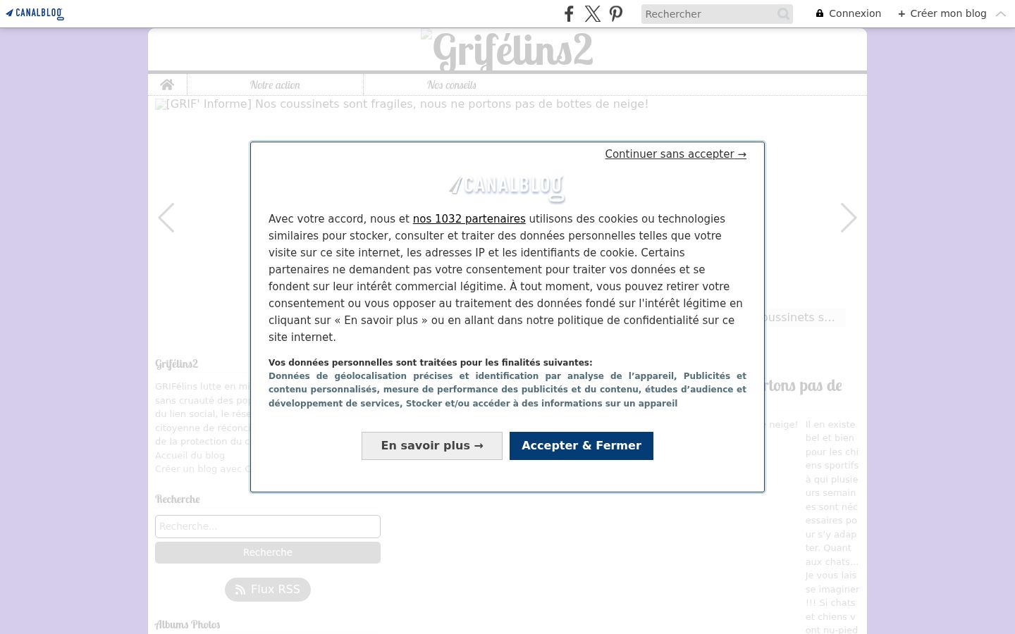 Screenshot of the consent banner shown before any interaction