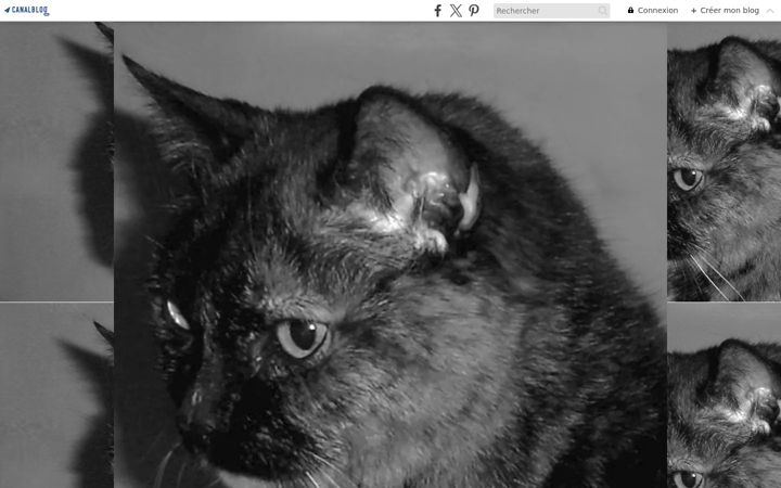 Screenshot of grifelins2.com