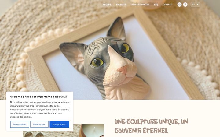 Screenshot of grifsfrance.fr