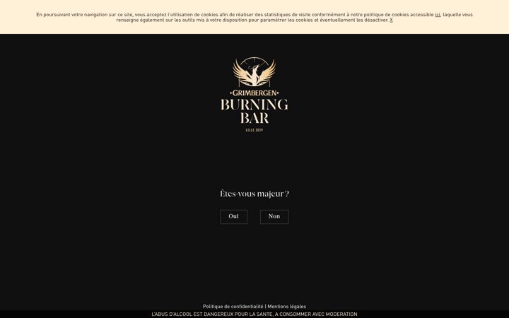 Screenshot of grimbergen-burning-bar.com