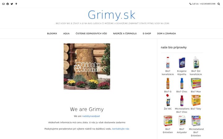 Screenshot of grimy.sk