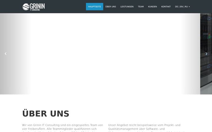 Screenshot of grininconsulting.com