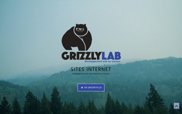 Screenshot of grizzlylab.be