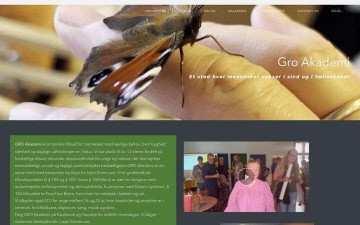 Screenshot of groakademi.dk