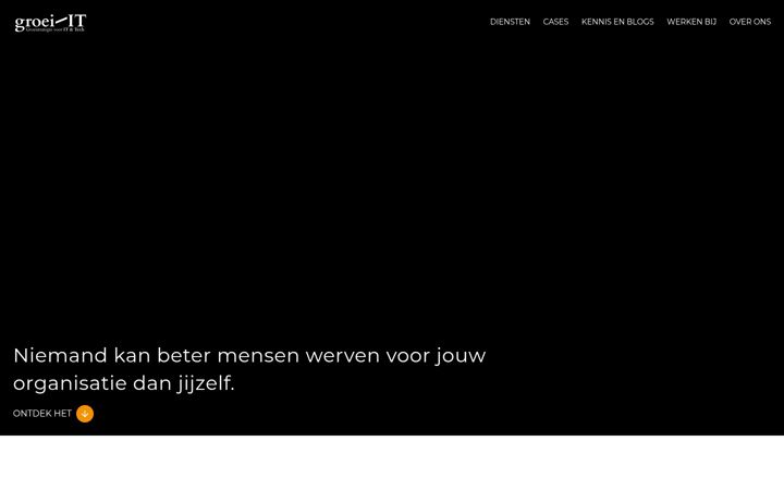 Posnetek zaslona groei-it.nl