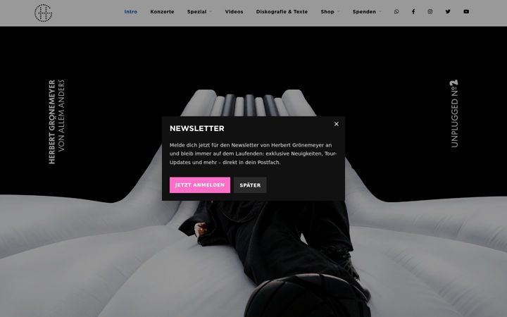 Screenshot of groenemeyer.de