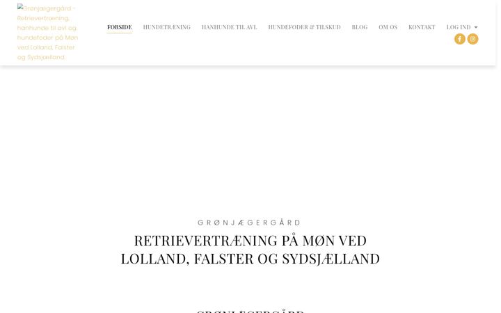 Captură de ecran a groenjaegergaard.dk