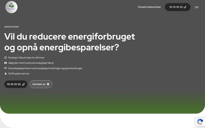 Screenshot of gron-strom.dk