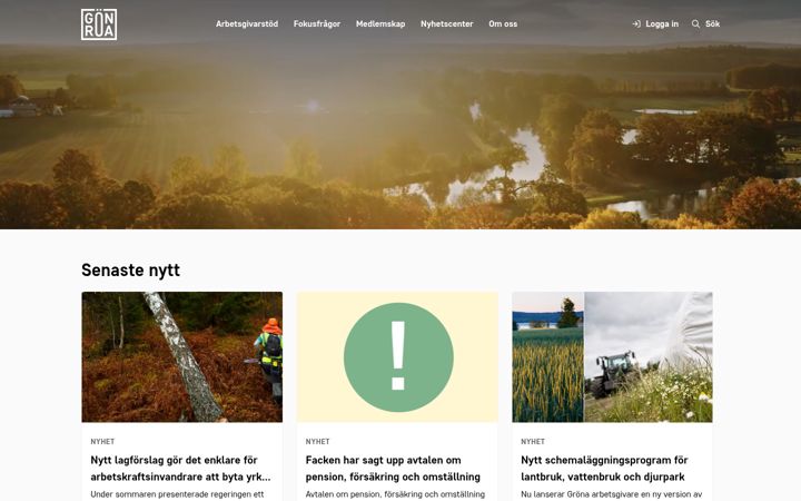 Screenshot of grona.org