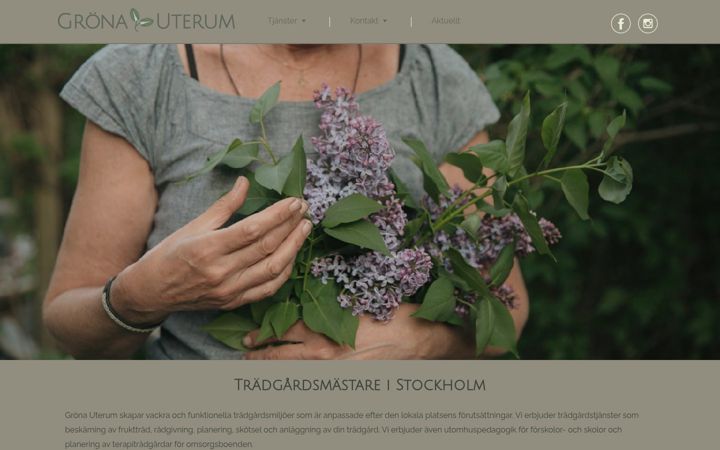 Screenshot of gronauterum.se