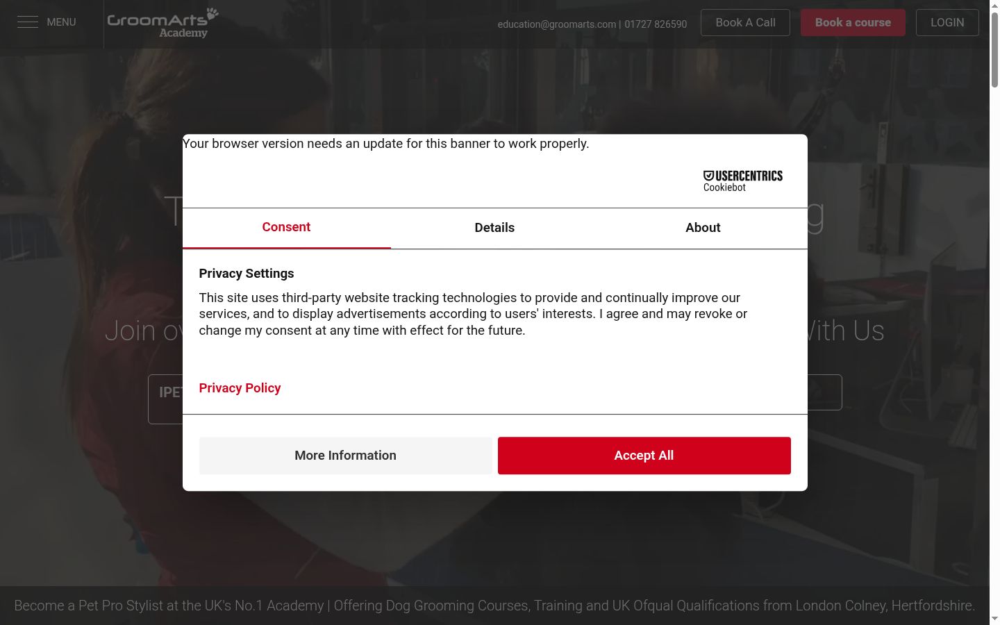 Screenshot of the consent banner shown before any interaction