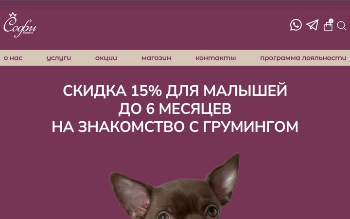 Screenshot of groomsalonsofi.ru