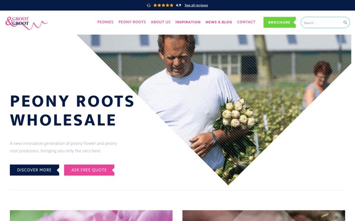 Snimka zaslona za grootgroot.com