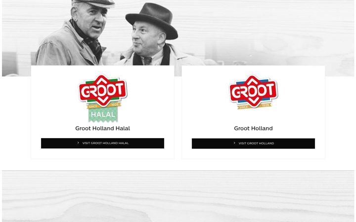 Screenshot of grootholland.com
