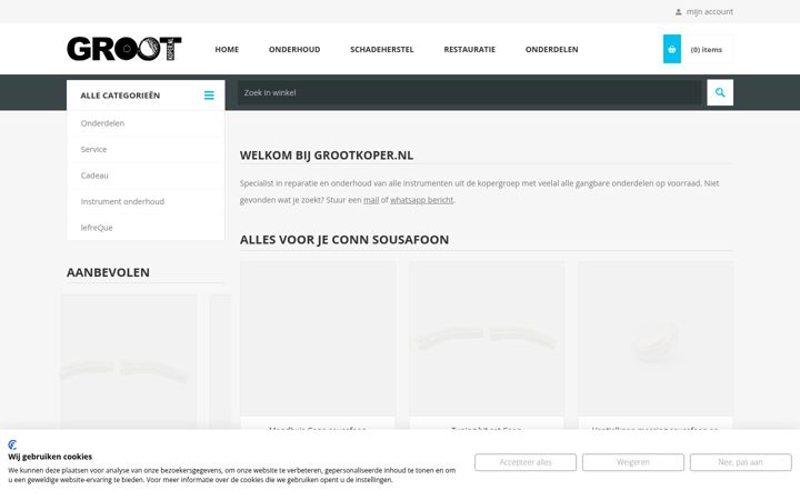 Screenshot of grootkoper.nl