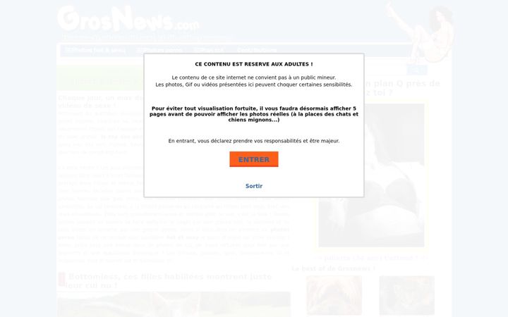 Screenshot of grosnews.com