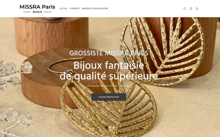 Screenshot of grossistemissraparis.com