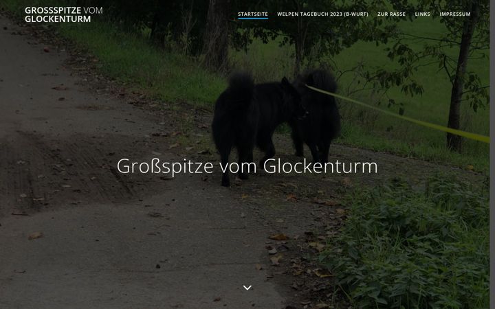 Screenshot of grossspitze-vom-glockenturm.de